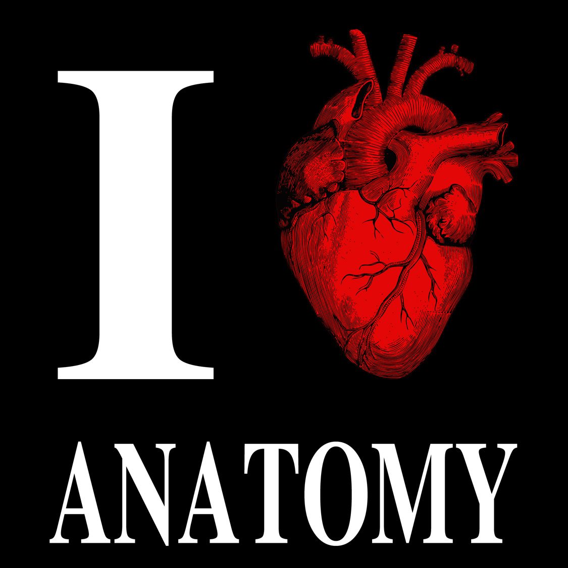I love anatomy. 